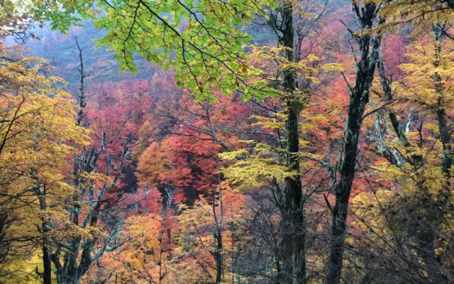 Altos de la Montaña