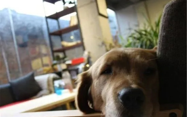 Xijiang Mishan Residence Scenic Homestay Qianhu Miao Village(No.4 Fengyu Bridge Museum Store) – Outside – Qiandongnan