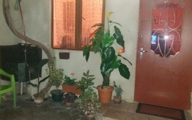 Hostel Puteshestvennik