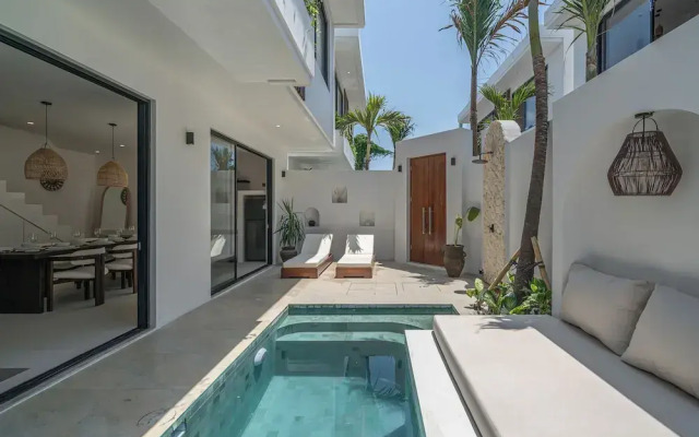 Nova Oasis 3