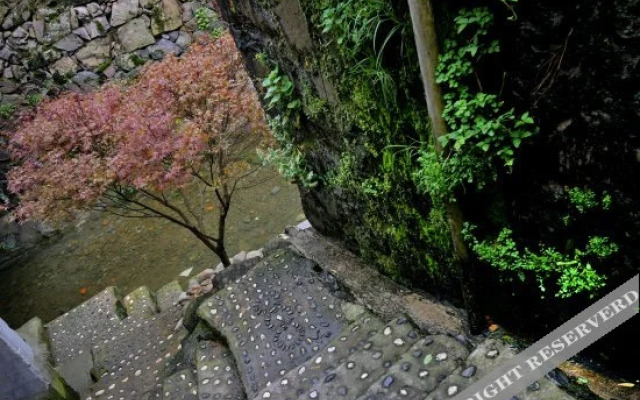 Shandao Wanwan Boutique Hostel