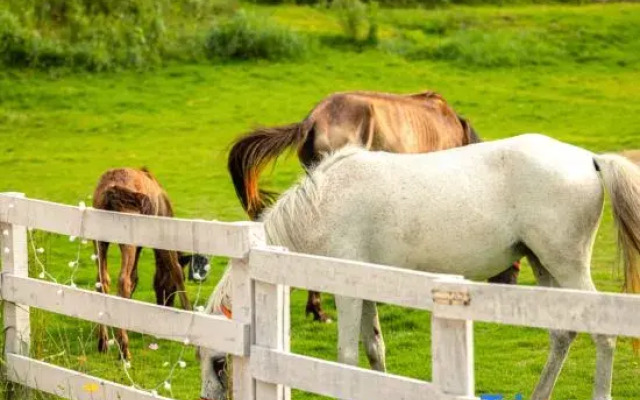 Xianju Yundandan Tianlanlan Homestay