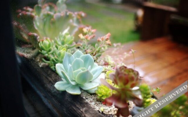 Floral Hotel·Dali Old Town Home Hotel
