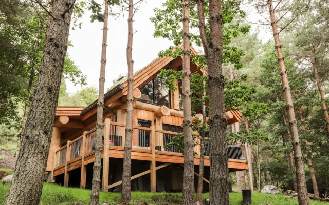Pine Marten Lodge