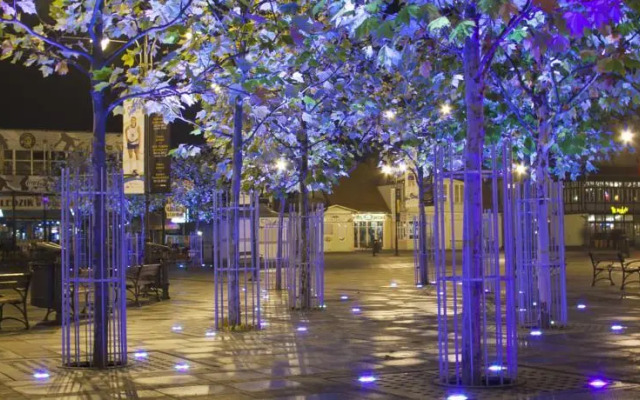 Vic Apartament Welkin