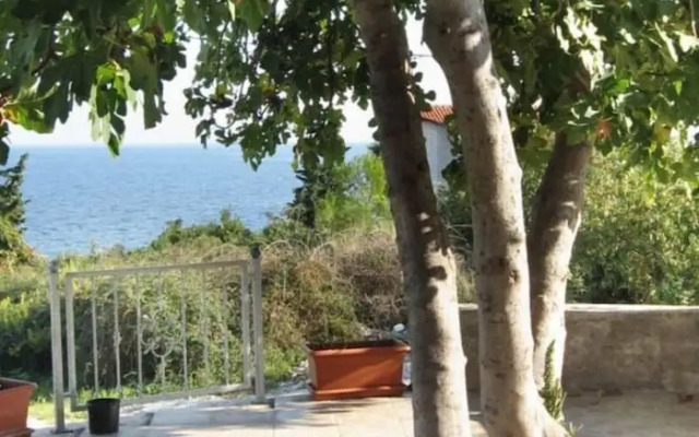 Zlata - Only 50 m From Beach - A2