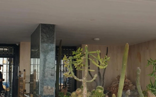 Edificio Las Palmeras 6