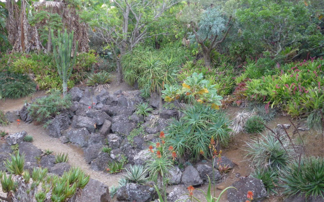 Wharepuke Subtropical Accommodation