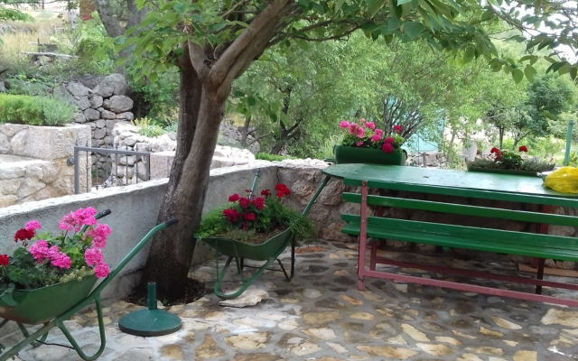 Holiday house Role - retro & afordable: Starigrad-Paklenica, Zadar riviera