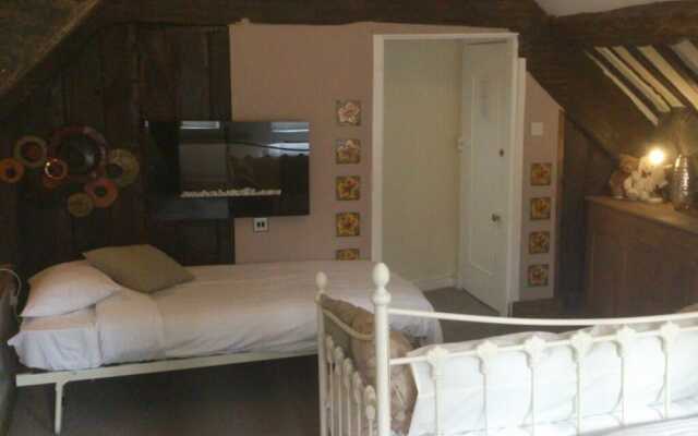 Plas Dolmelynllyn Country Hotel