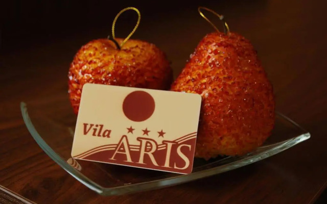 Vila Aris