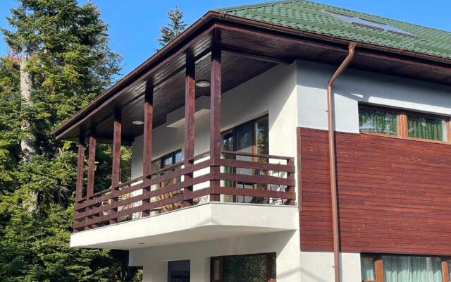 Pine Tree Residence