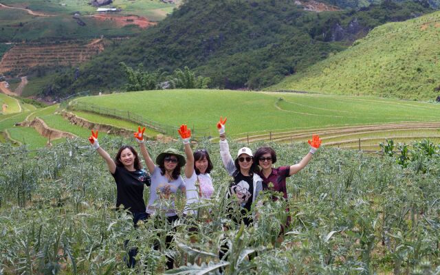 Sapa Capsule Hotel