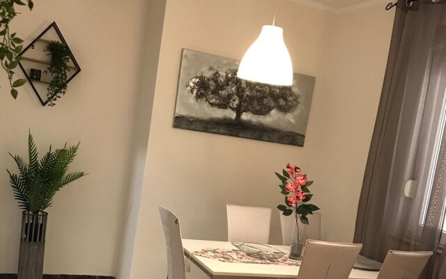 Apartment Tripovic
