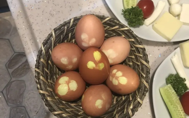 Ziyagil Konağı