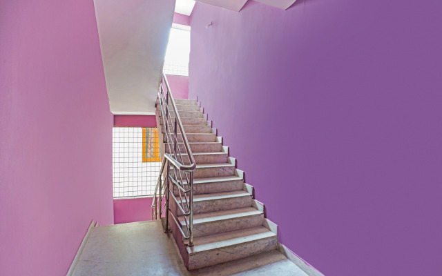 OYO 13746 Mint Leaves