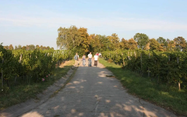 Ferienwohnung Im Schiller