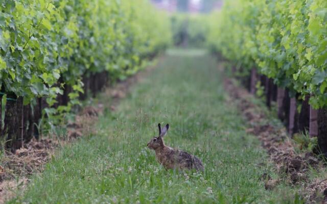 Tenuta Santomè