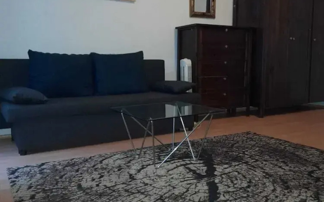Chic 1BR Flat in Heart of Vienna