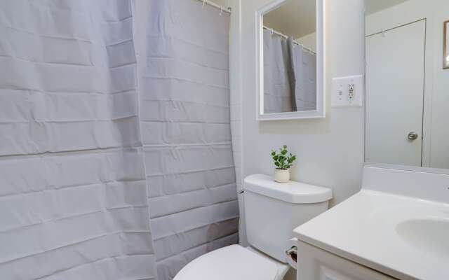Stylish Condo in Crystal City