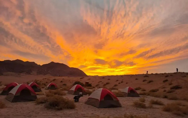 Wadi Rum Magic Nature Camp