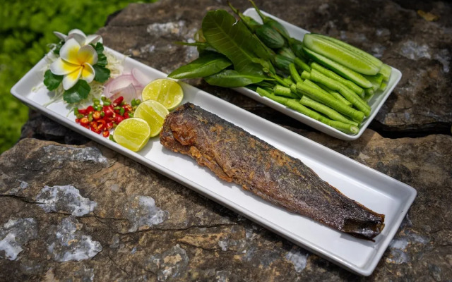 Donsak Orchid Resort