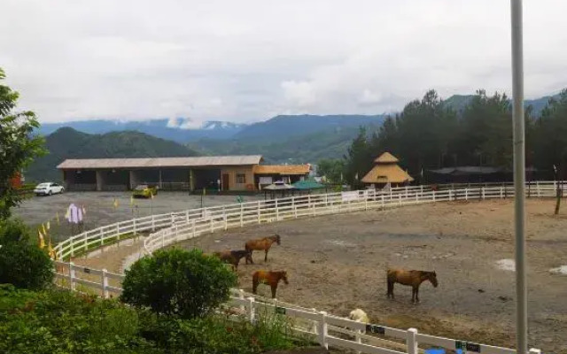 Pinglima Panshan Kangyang Homestay