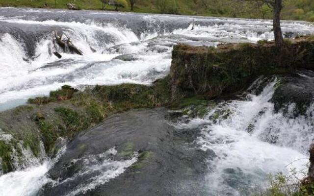 Lika Dream - Obradovic