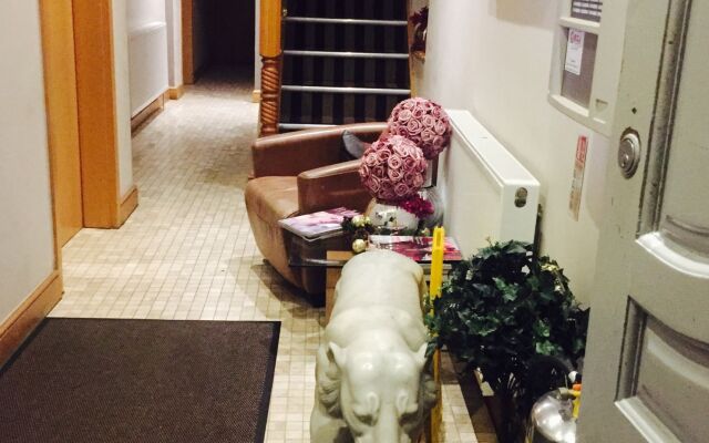 Homestay Hotel