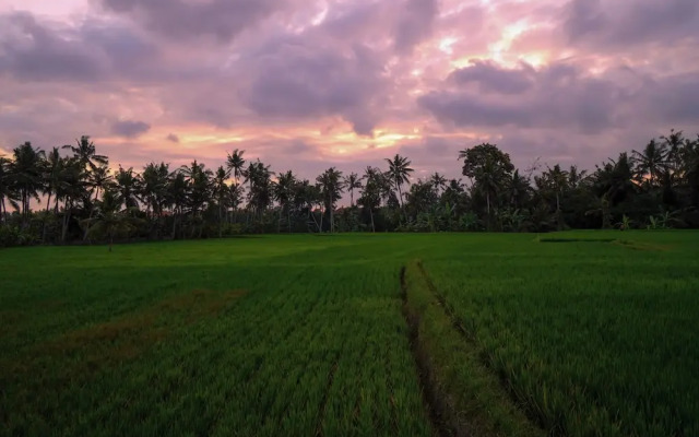 Sierra Vista 1 Ubud