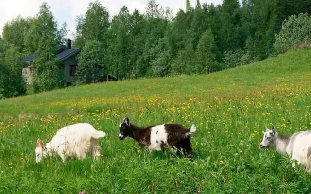 6 Person Holiday Home in Nordli