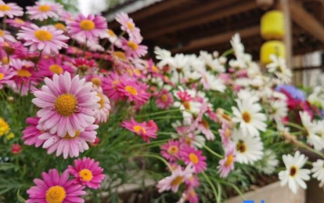 Yunxi Bieyuan Guesthouse