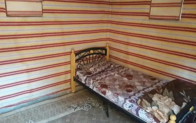 Wildlife Camp