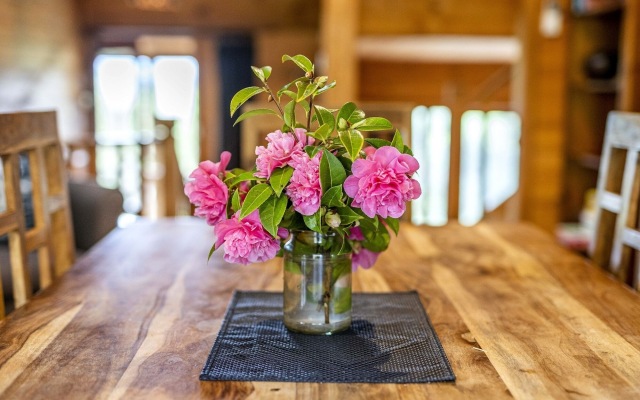 Mole Creek Cabins