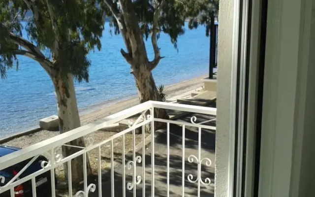 Beach House