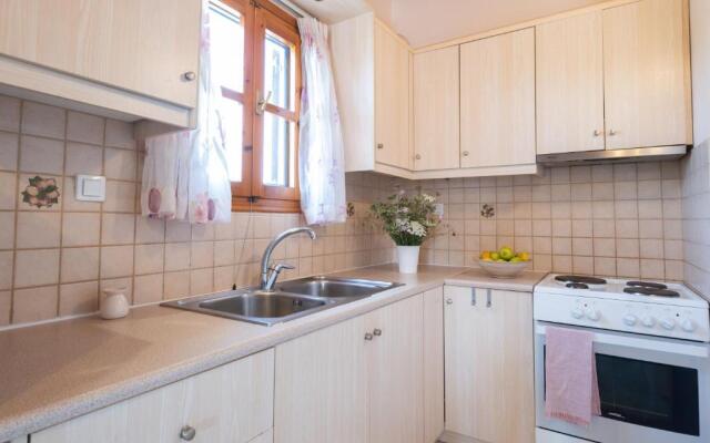 Studio Dionphaie - Διόνφαιη