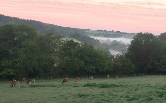 Worralls Grove Guest Farm House