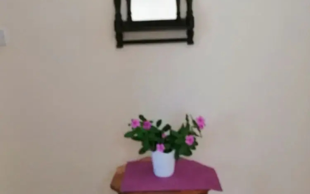 Salhiya Lodge - Hostel