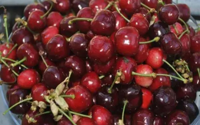 Agriturismo LInfinito