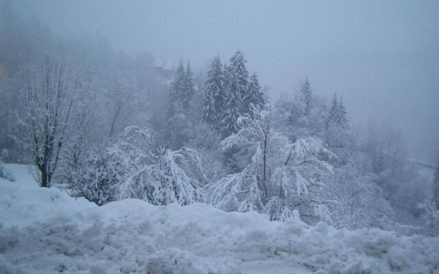 La Chouette à lheure du Pinson