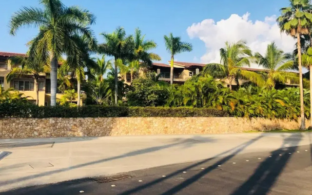 El Tigre Isla Palmares