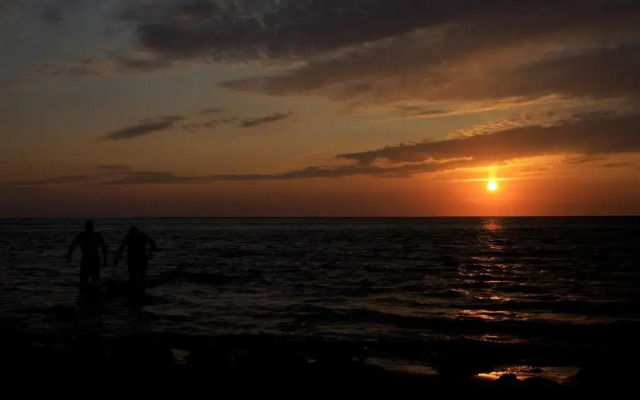 Dutch African Breeze