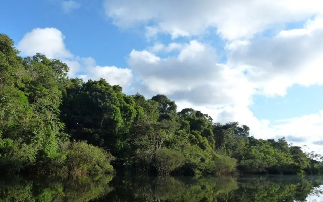 My Amazon Lodge