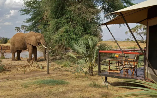 Samburu Lodge