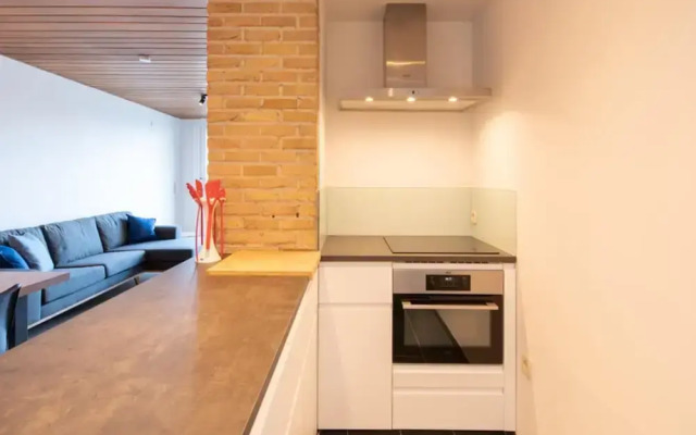 Beautiful Duplex Apartment in Ostend