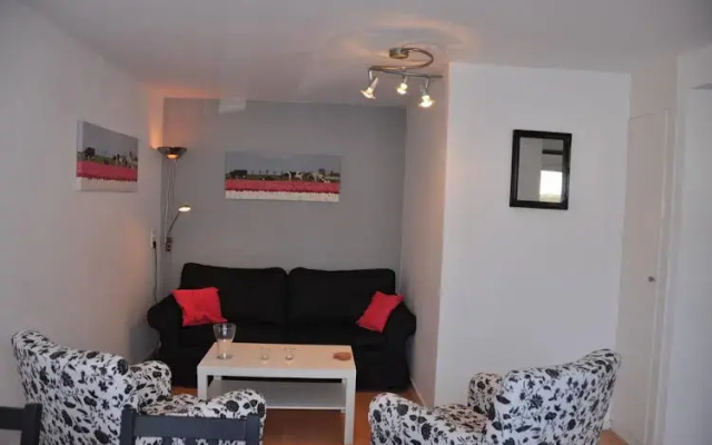 Schelvis Apartments