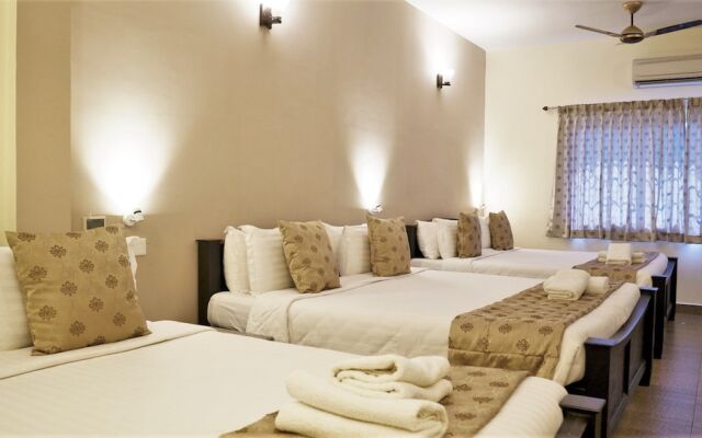 Olive de Villa - A Wandertrails Stay