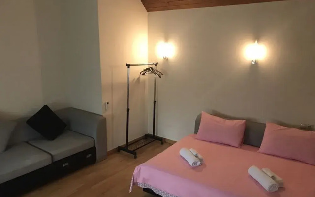 Rare house with garden in Tbilisi