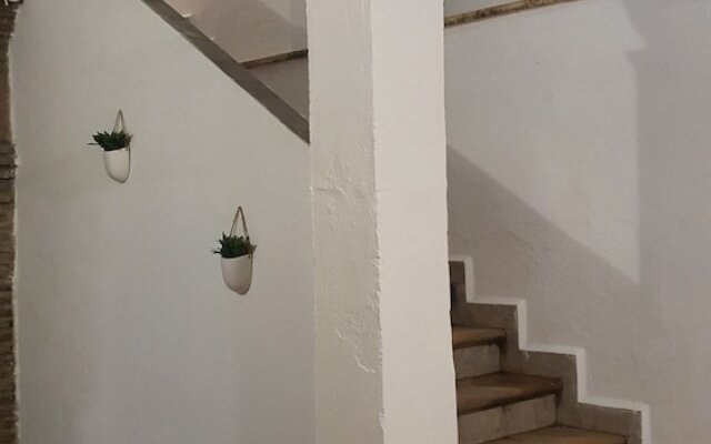 Casa Carmen Morena Mia