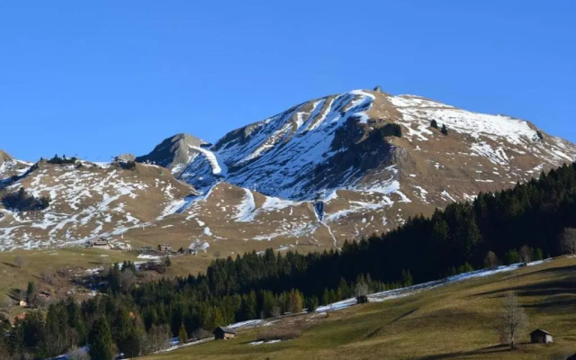 Appartement Le Grand-Bornand, 1 pièce, 4 personnes - FR-1-241-176